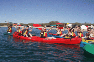 Australian Kayaking Adventures - Bundaberg Accommodation