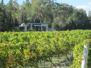 Just Red Wines Cabins - Bundaberg Accommodation